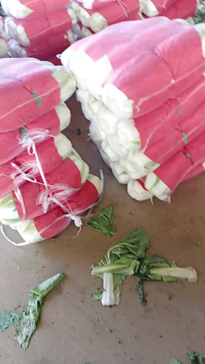 白菜降价