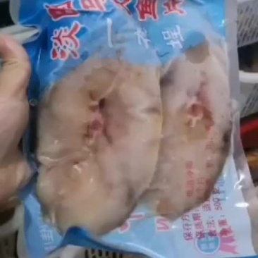 马友鱼