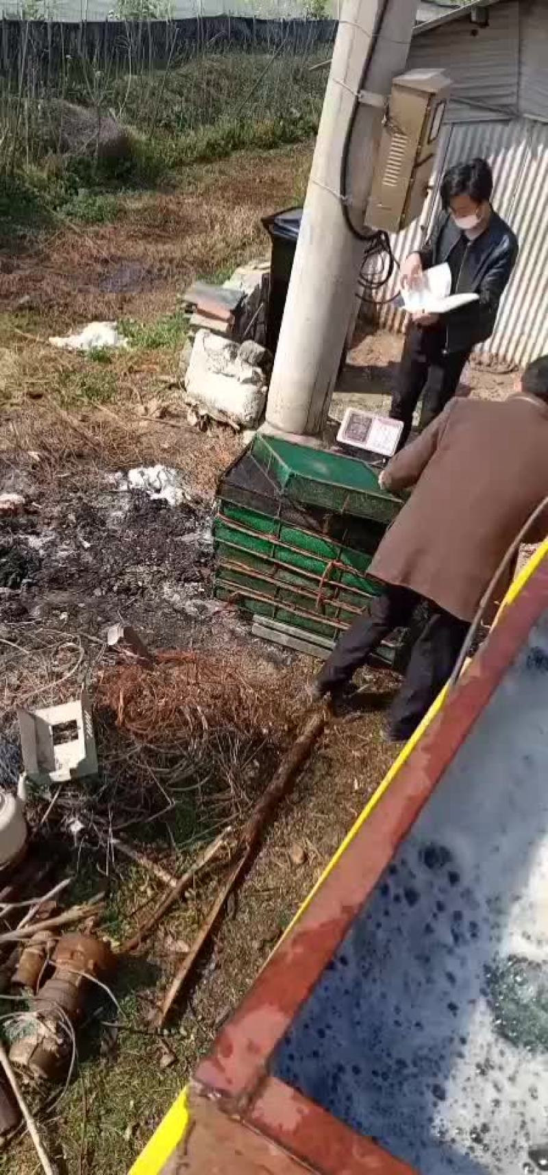 抵抗力强，成活率高。