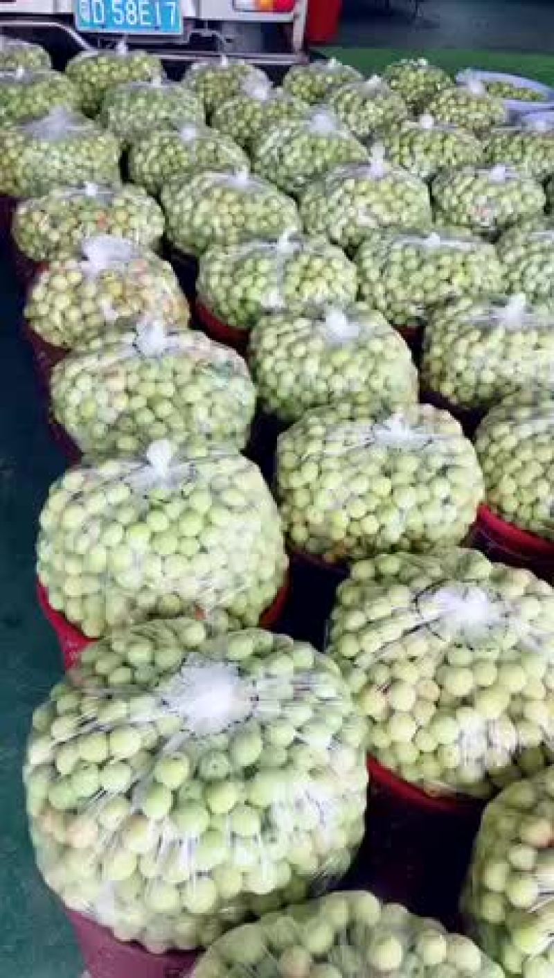 青梅