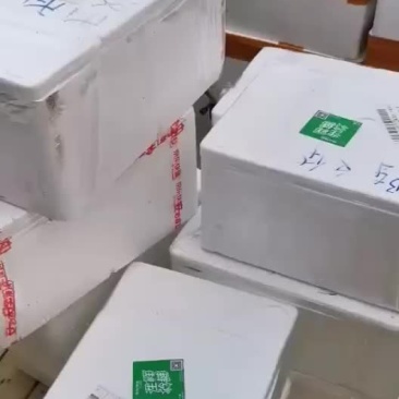 海鲜，海鱼