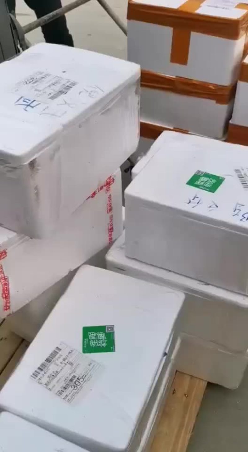 海鲜，海鱼