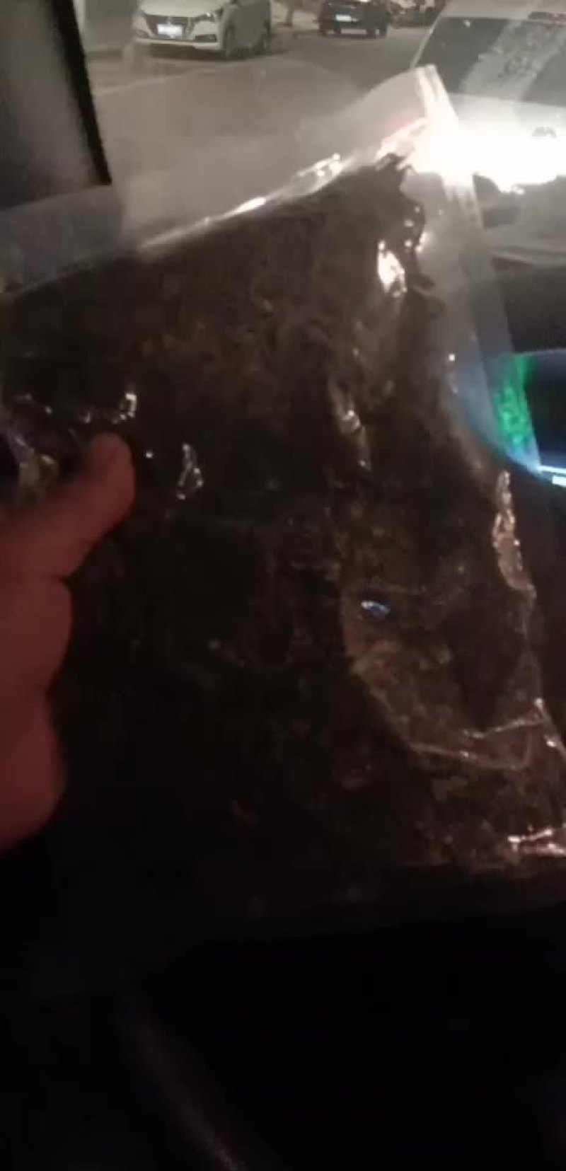 盐渍海带丝