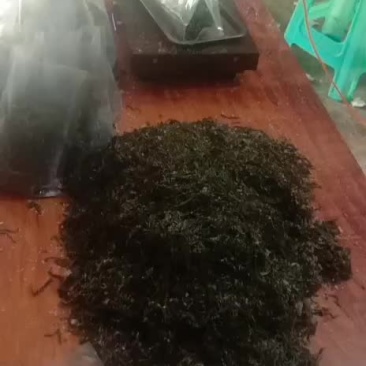 盐渍海带丝