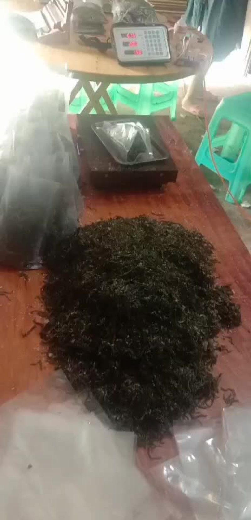 盐渍海带丝