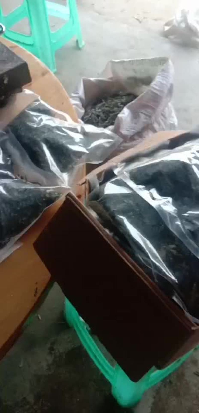 盐渍海带丝