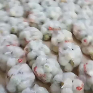 光碳有机梨