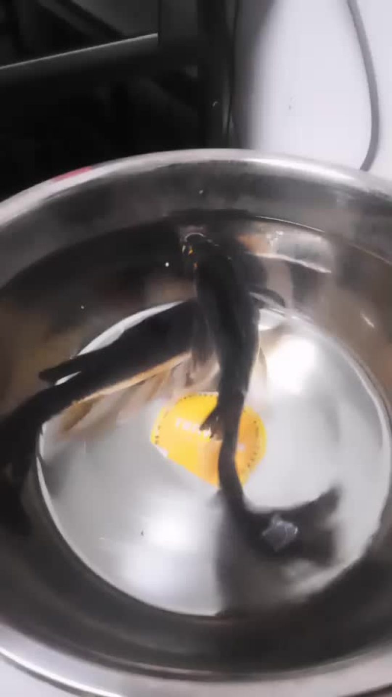 乌鲤鱼