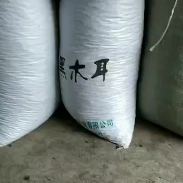 黑木耳
