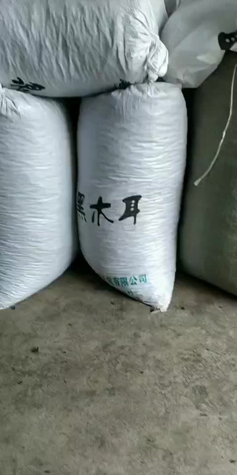 黑木耳