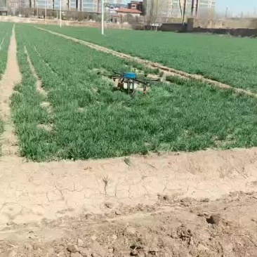 打药服务