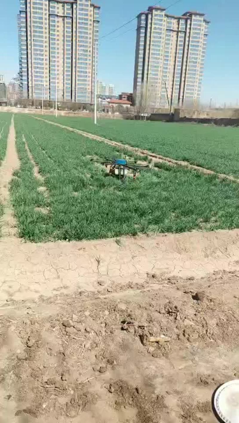 打药服务