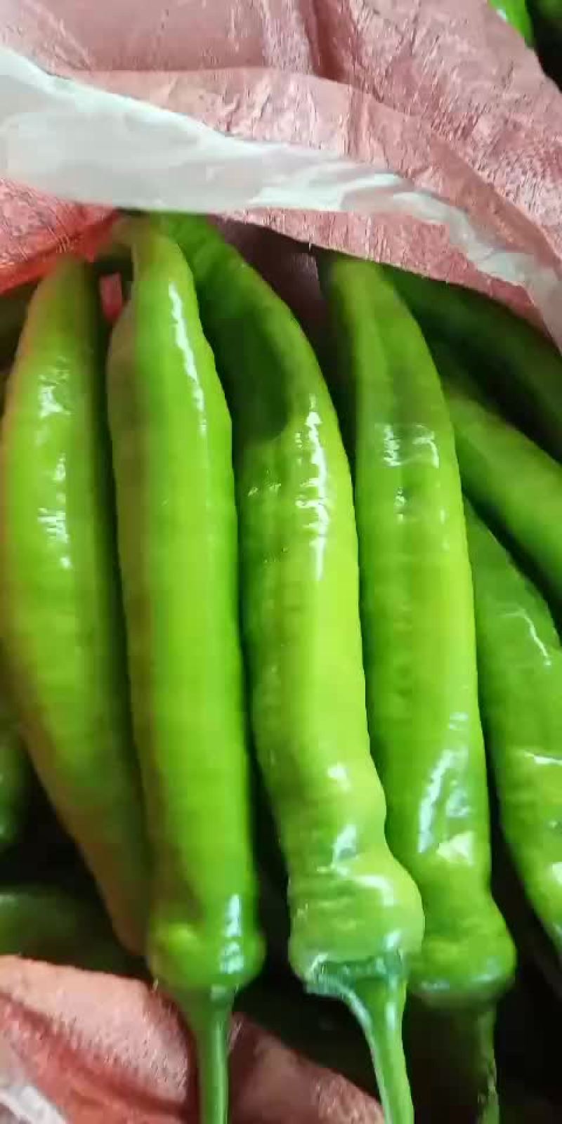 鲜辣椒
