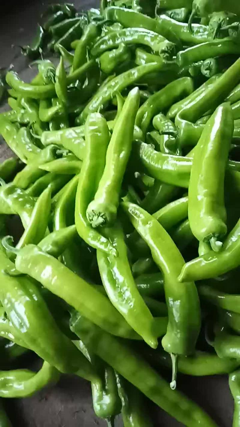 鲜辣椒