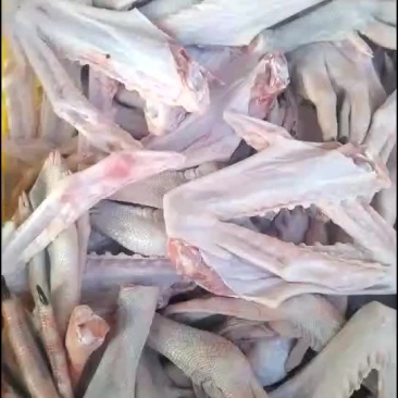 鹅掌，翅膀