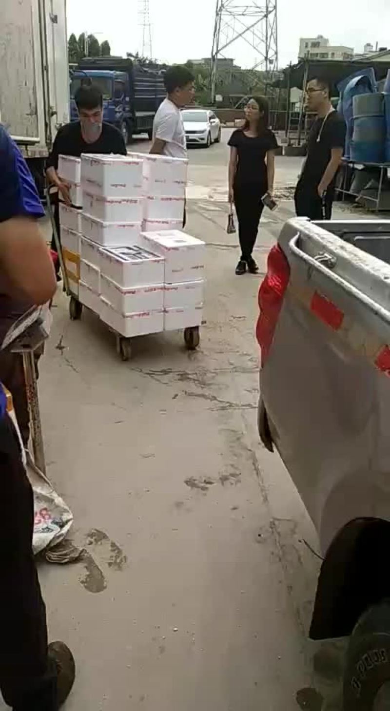 海鲜，海鱼，发货了