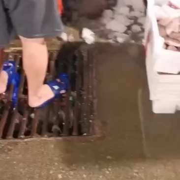 海鱼