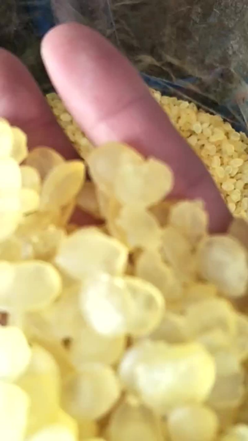 皂角米，常年批发供应皂角米学莲子