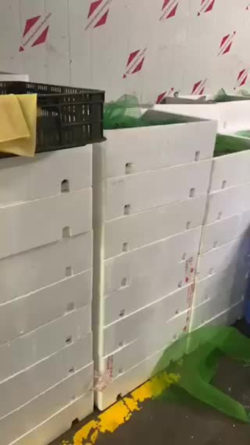 牛蛙批发