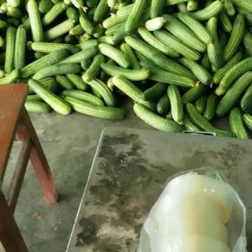 黄瓜