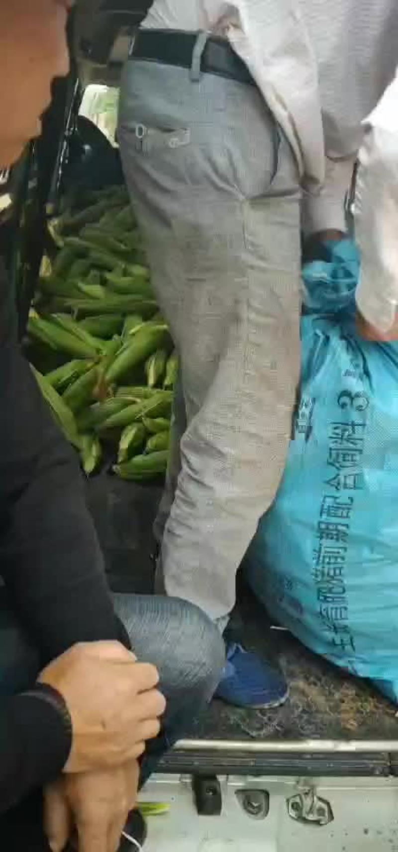 白糯玉米