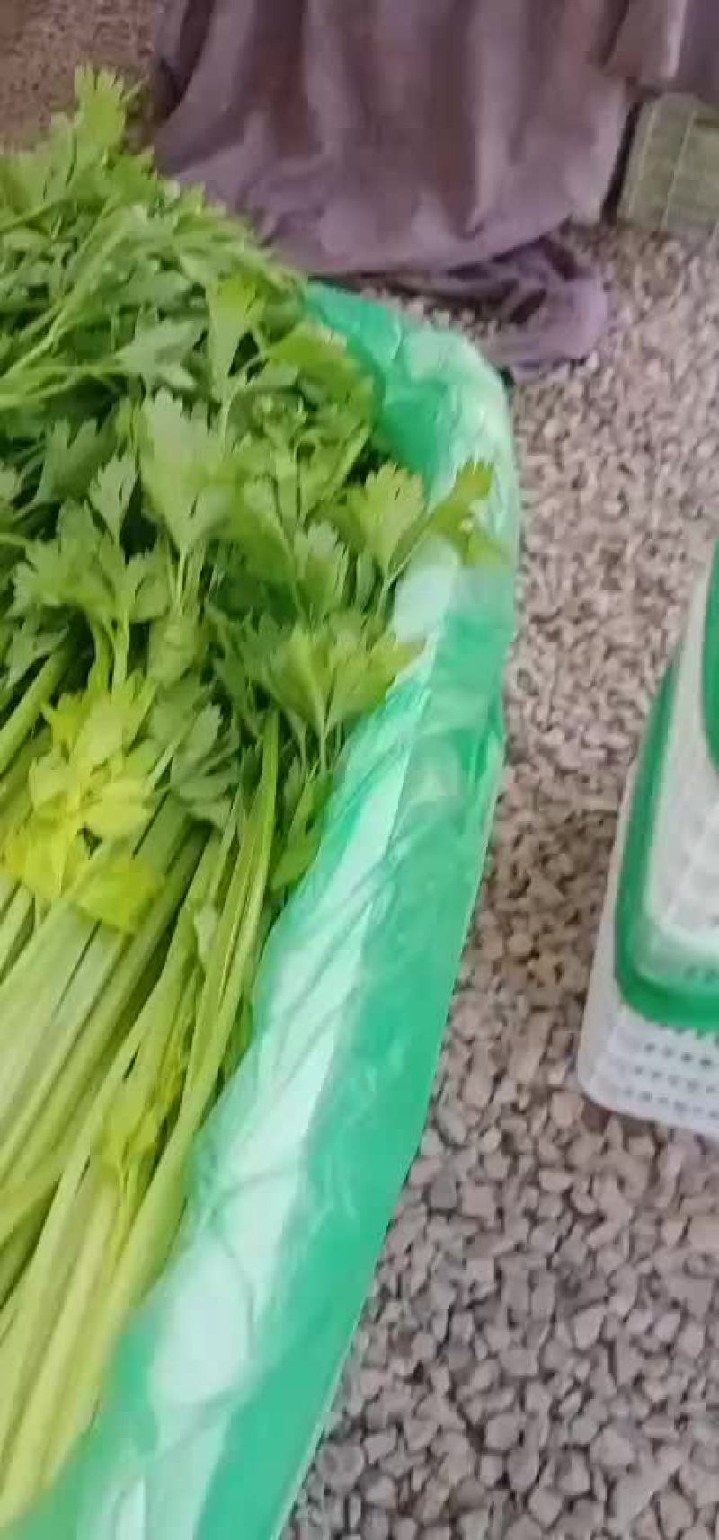 香芹