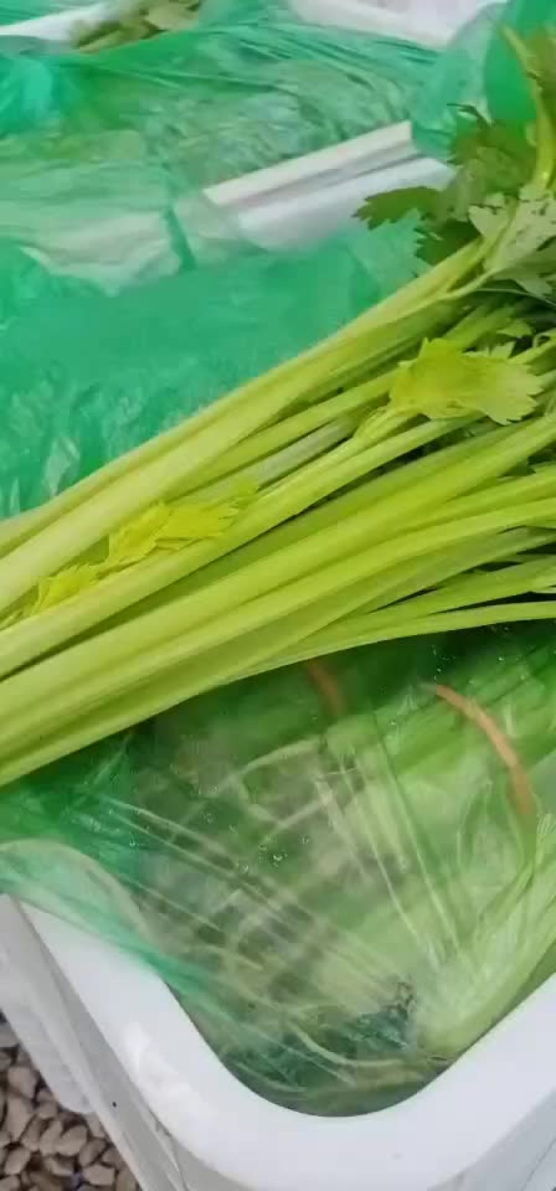 香芹