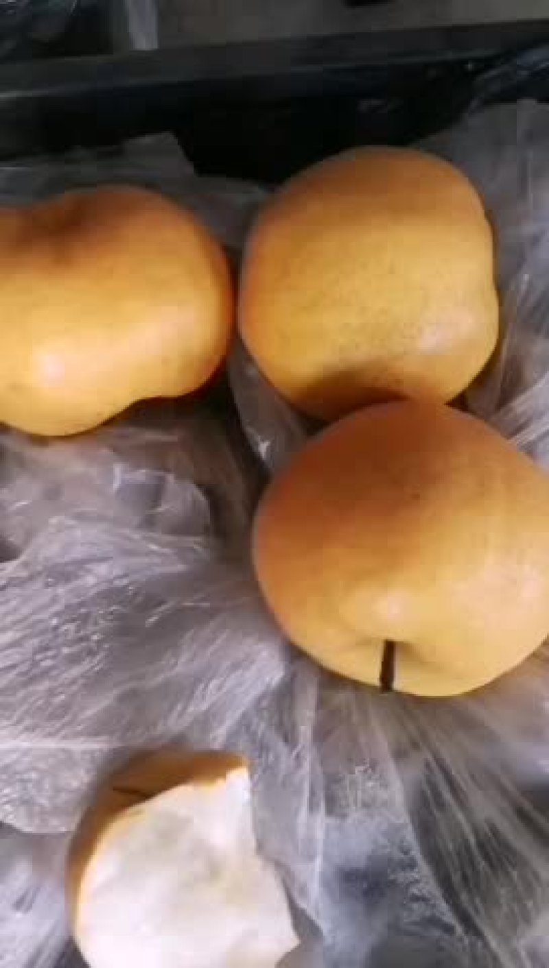 乐亭丰水梨