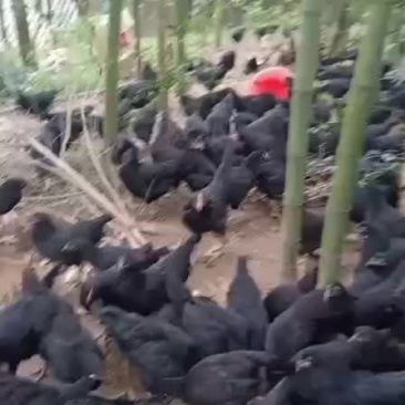 土货专卖店