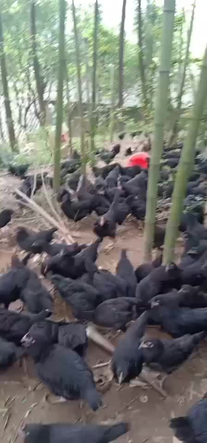 土货专卖店