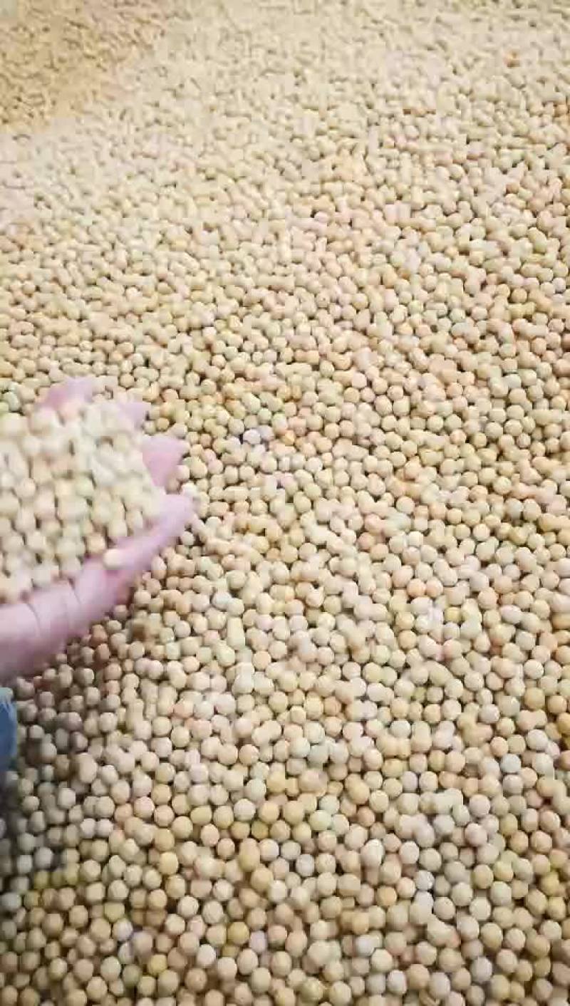 真正的非转基因笨榨大豆油四桶起邮不包邮费