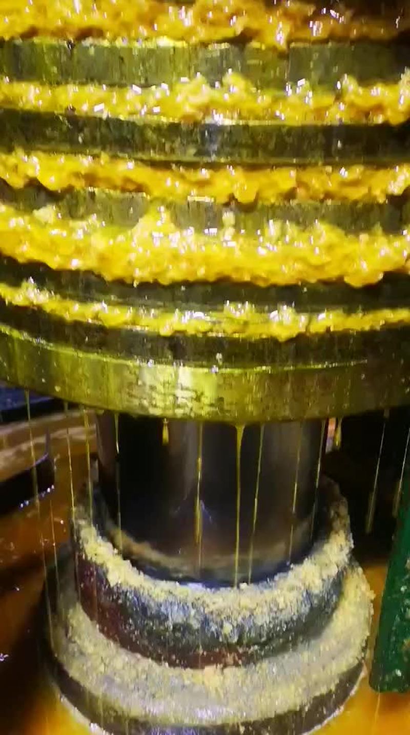 真正的非转基因笨榨大豆油四桶起邮不包邮费