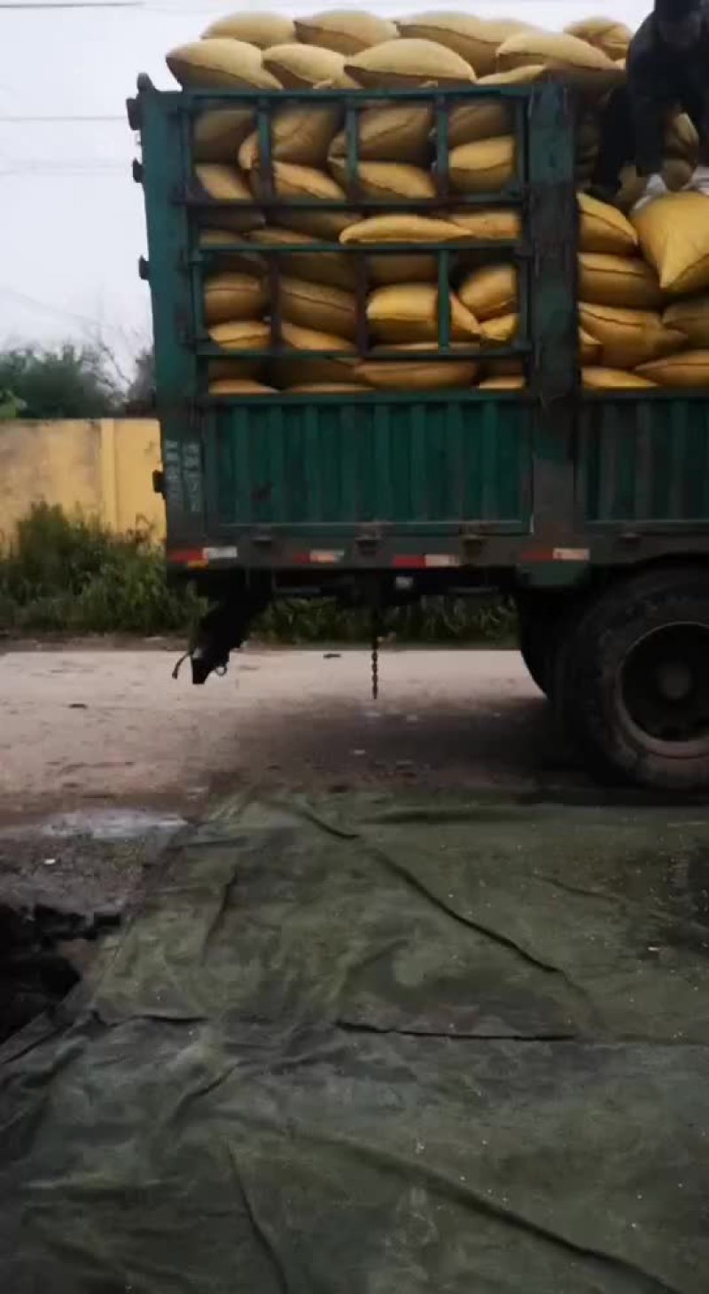 真正的非转基因笨榨大豆油四桶起邮不包邮费