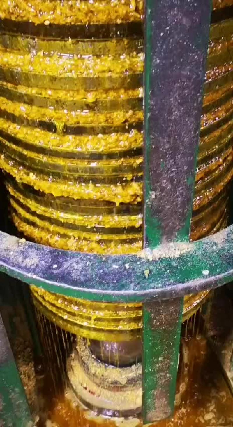 真正的非转基因笨榨大豆油四桶起邮不包邮费
