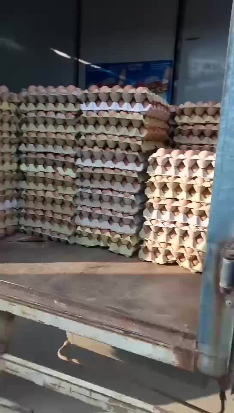 活珠子