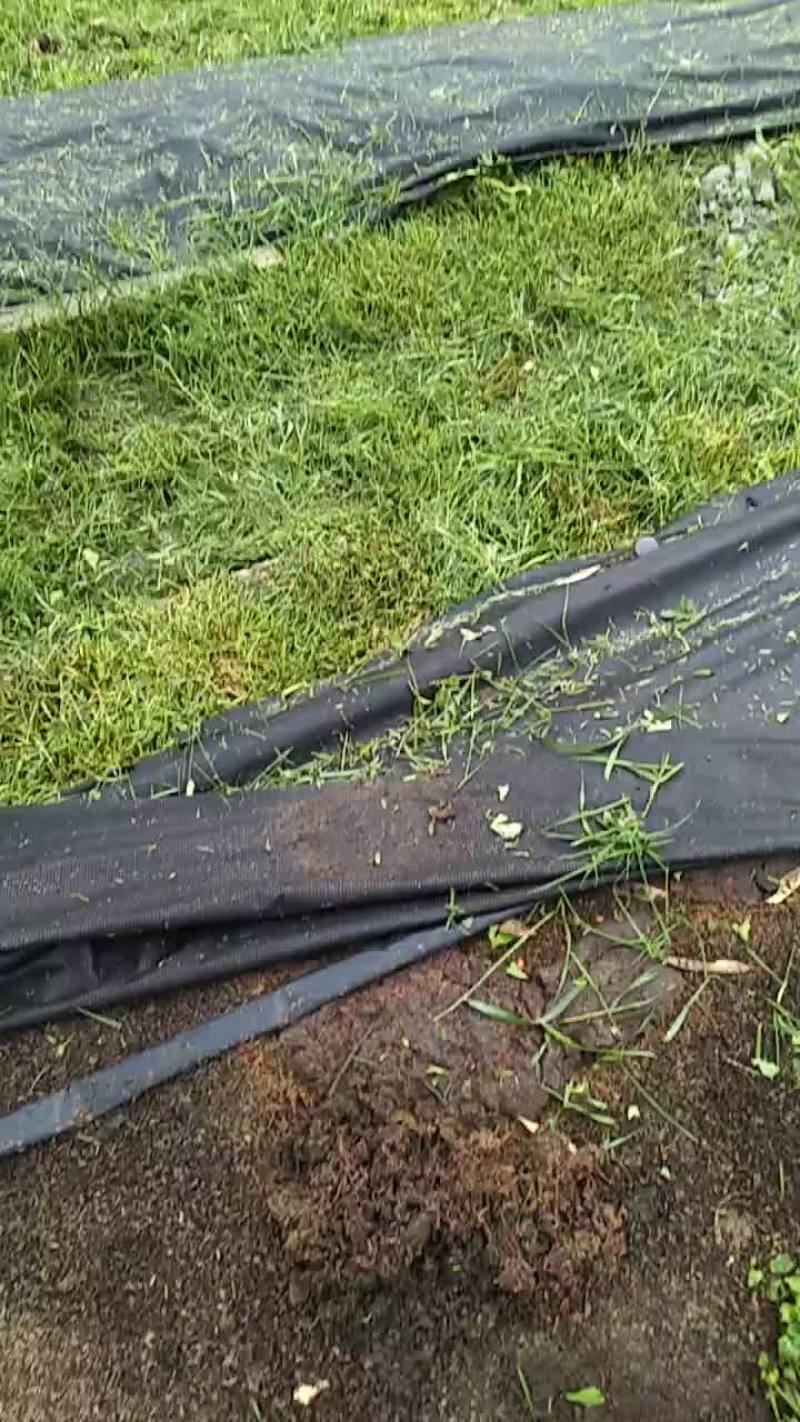 特种养殖