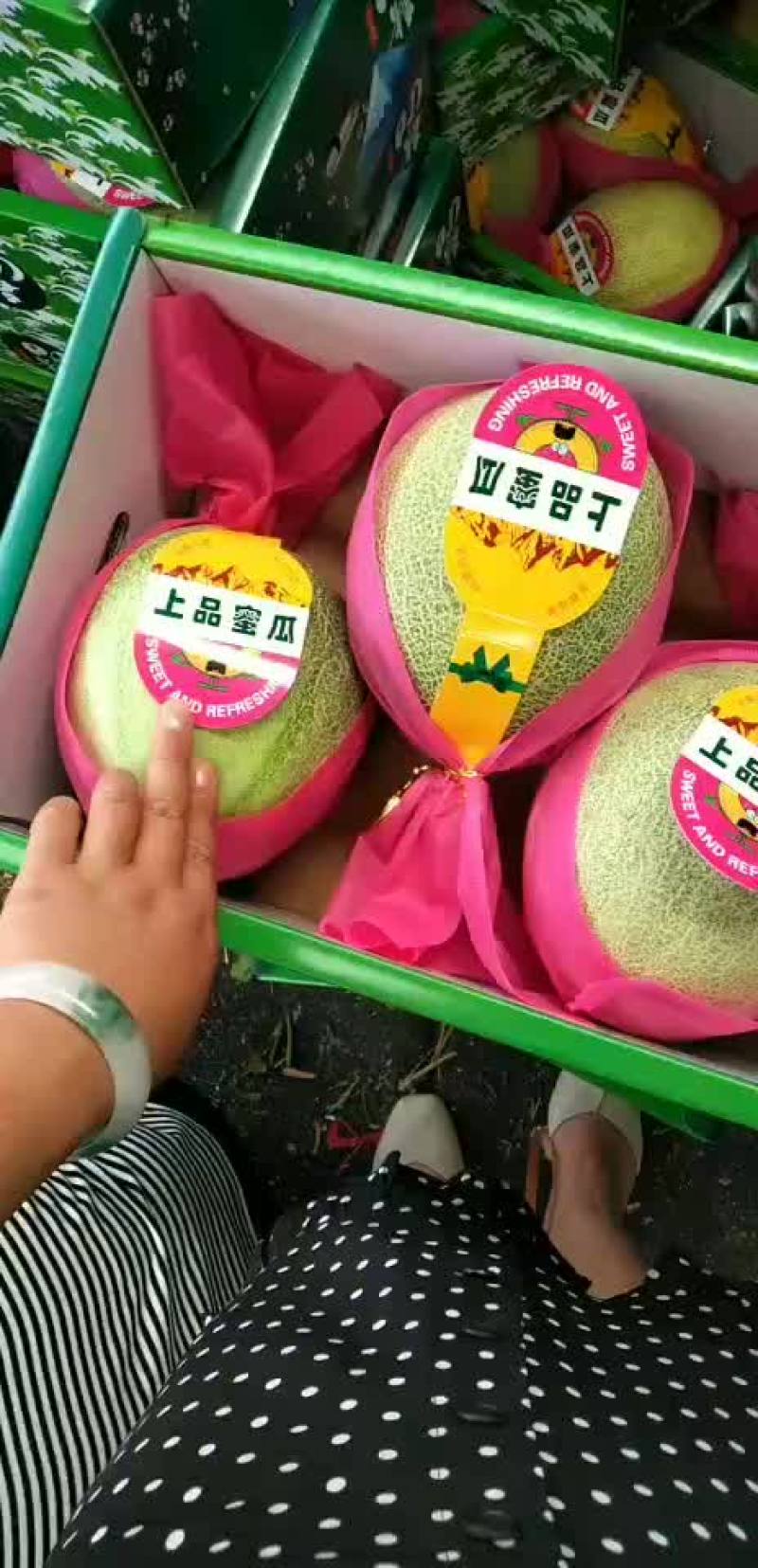 甜瓜甜瓜，香瓜之乡，产地大量直供各个批发市场，电商