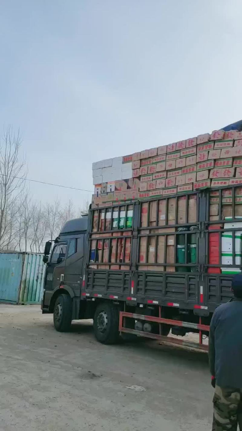 精品油麦菜批发油麦菜大量上市日供万斤以上
