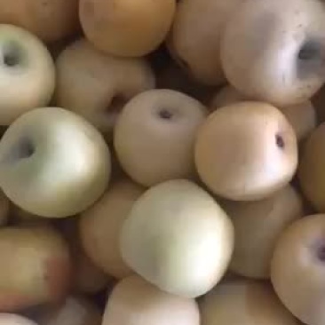奶油富士