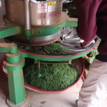 红茶尤溪红梅占红茶
