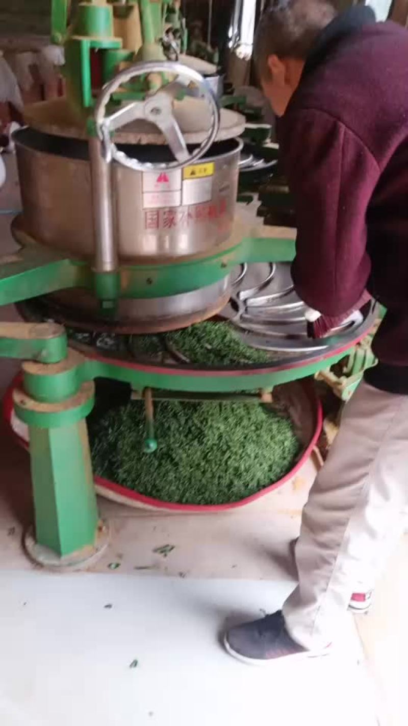 红茶尤溪红梅占红茶