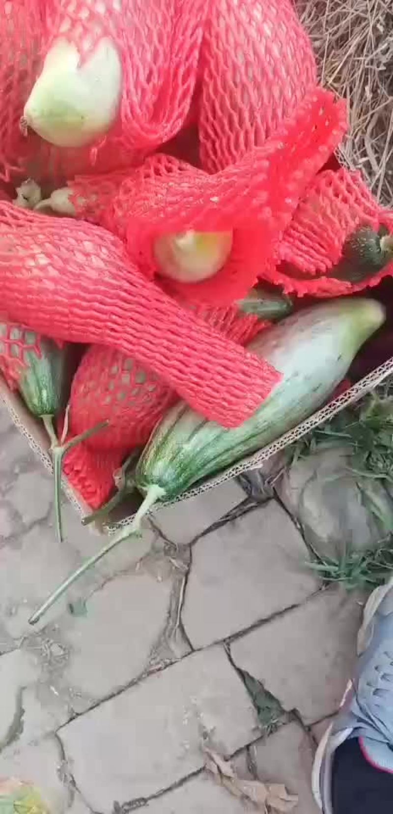 羊角密精品货通货联系我