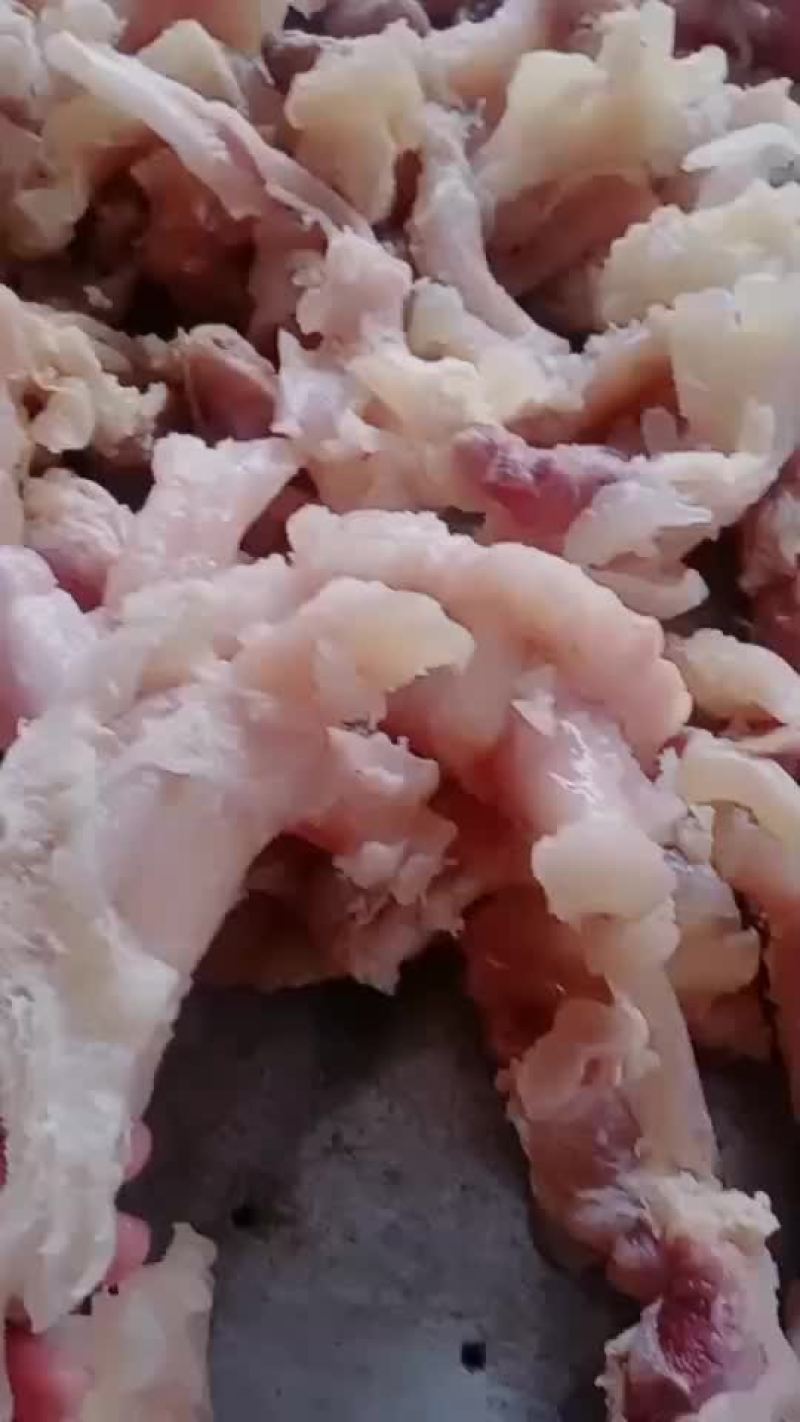 高质量牛蹄筋纯熟，质量好价格不高，欢迎订购