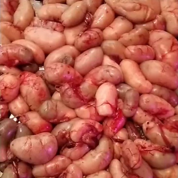 鸡腰子