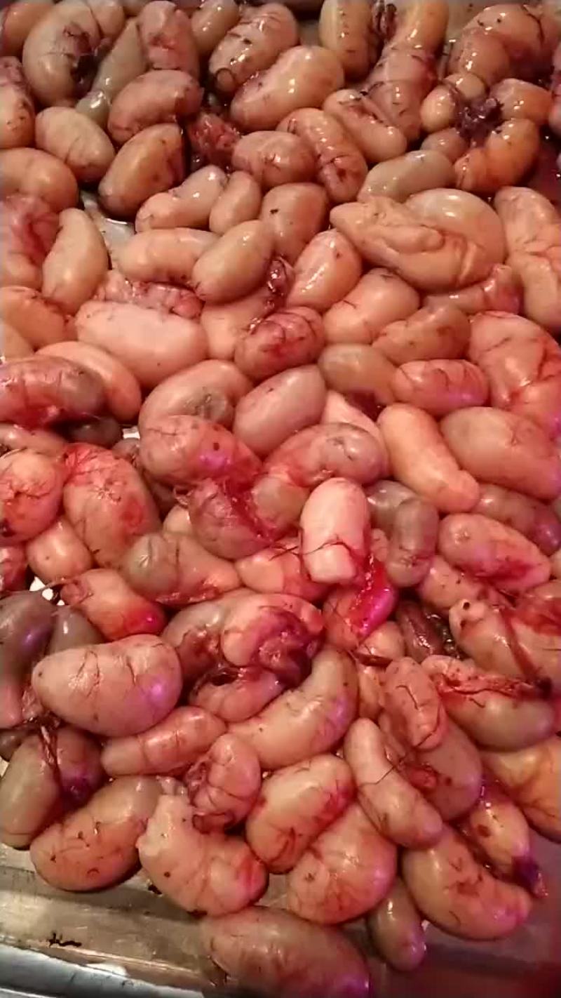 鸡腰子