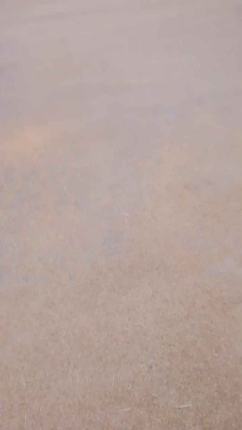 稻壳