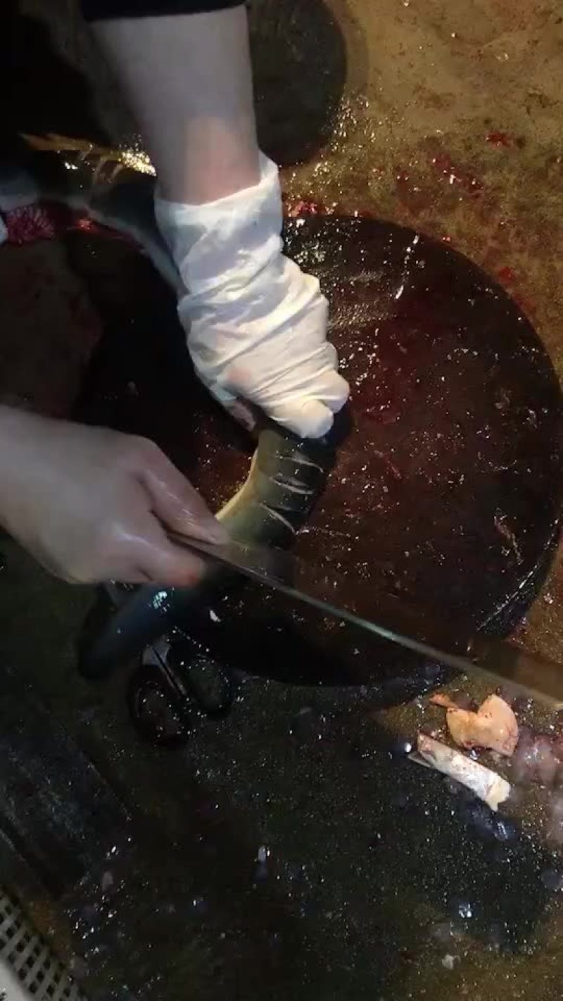 白鳝鱼现在做，明天可以发出，大量接单！[色][色]
