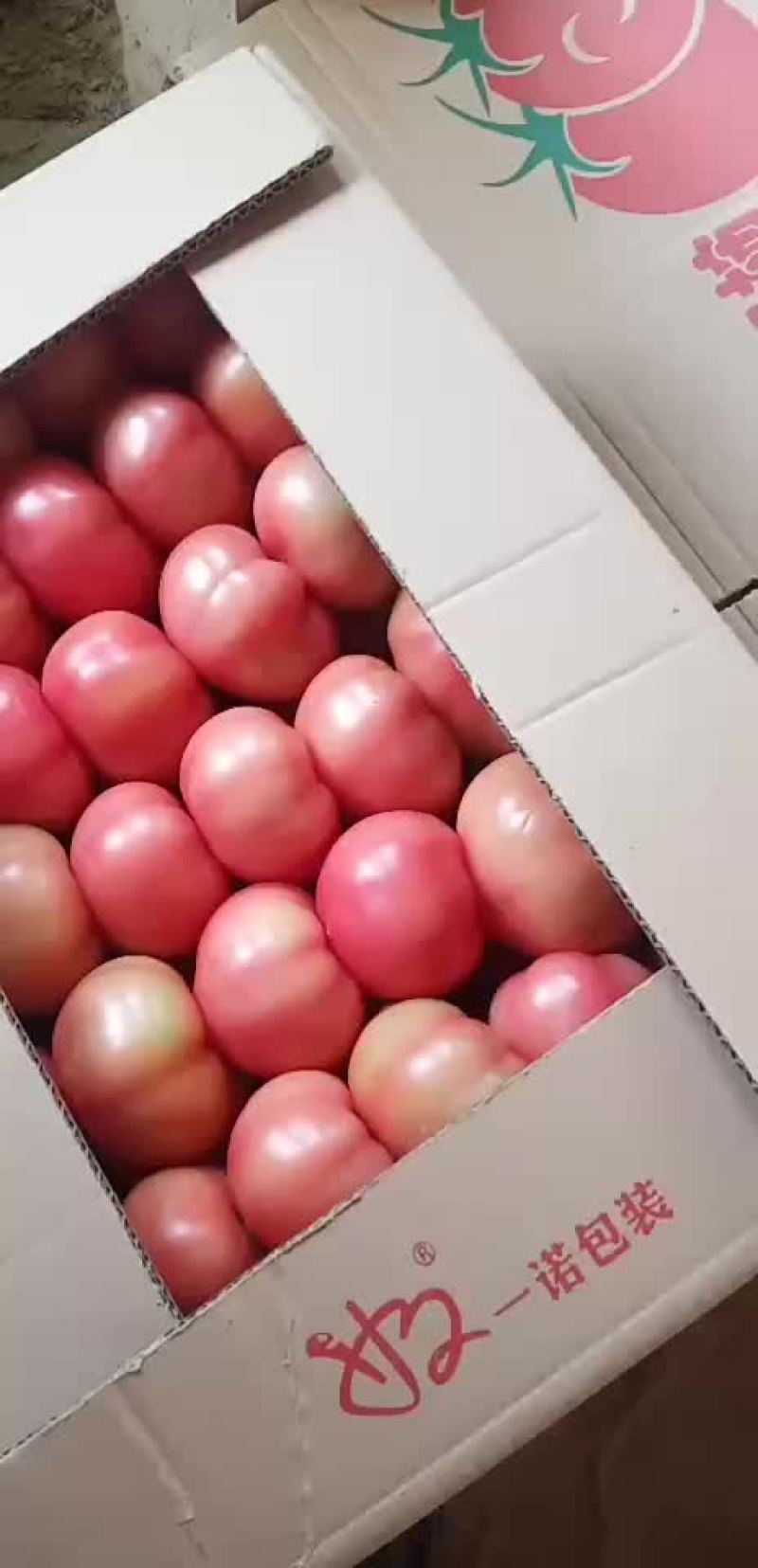 西红柿