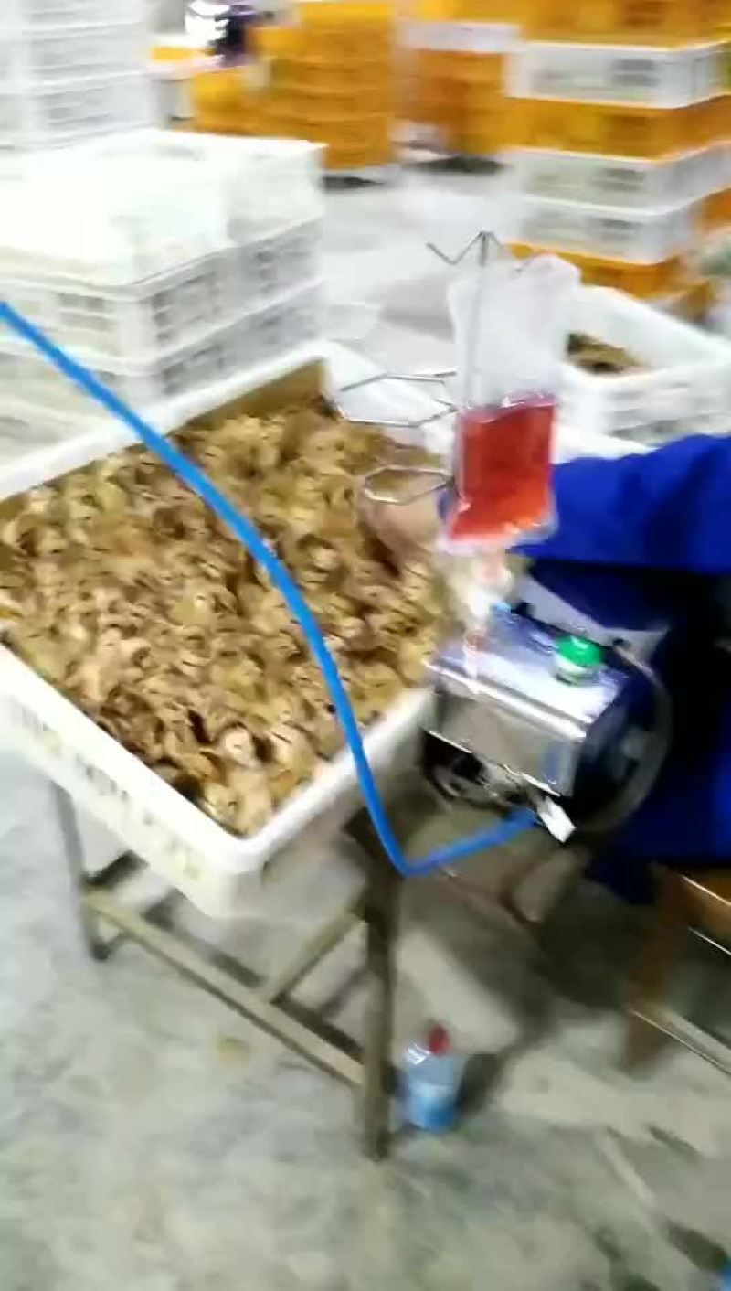 灵土鸡苗