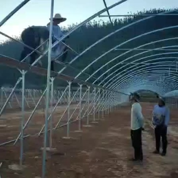 连栋大棚工地